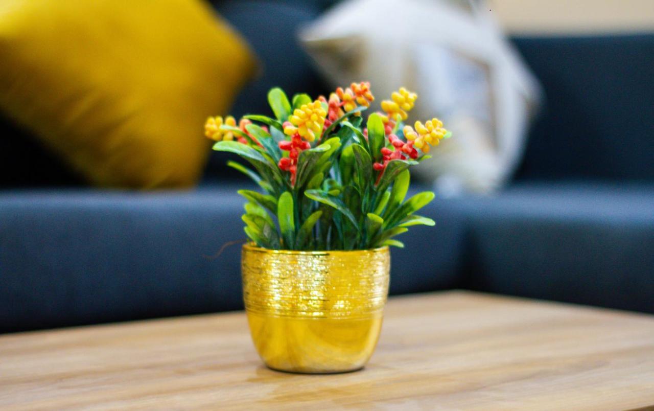 Apartamentos Michael Palenque Dış mekan fotoğraf